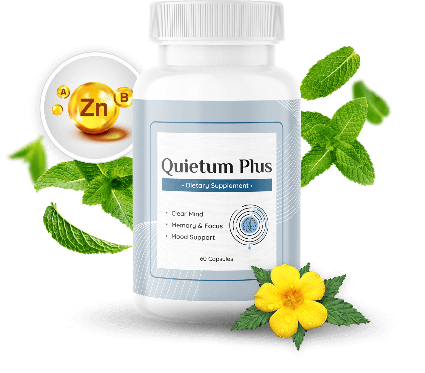 Quietum Plus Review: The Natural Solution for Optimal Hearing Health